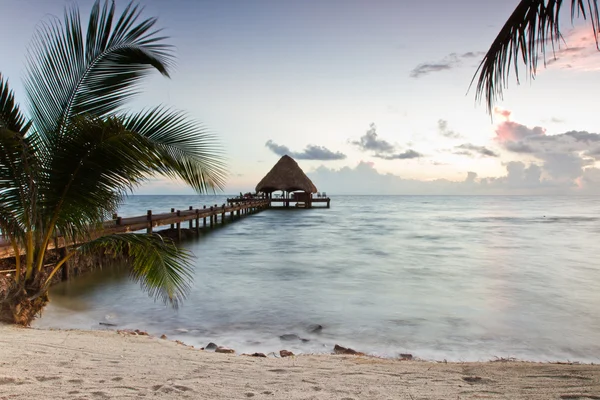 Tropischer Strand — Stockfoto