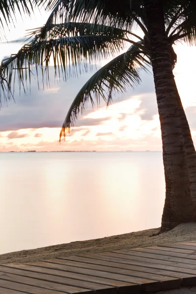 Playa tropical — Foto de Stock