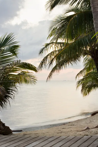 Tropisch strand — Stockfoto