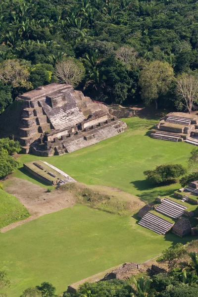 Altun Ha, maya ruins — ストック写真