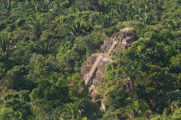 Lamanai, maya ruïnes — Stockfoto