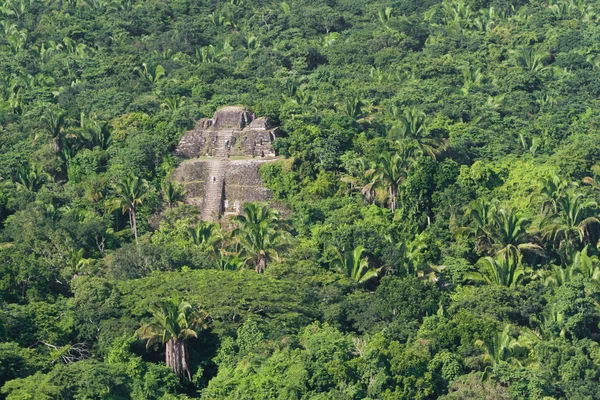 Lamanai, maya ruiner — Stockfoto