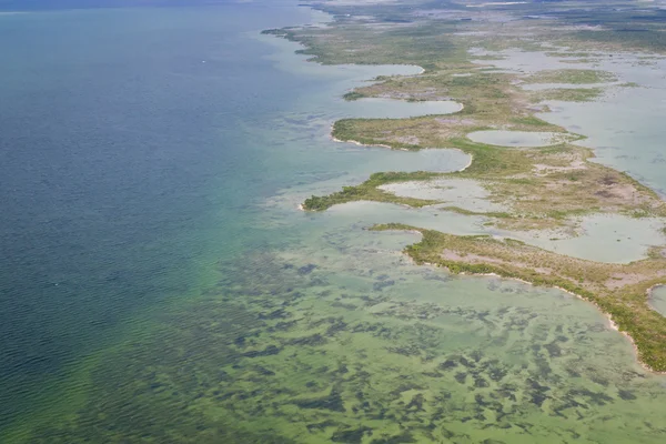 Барьерный риф в Карибском море — стоковое фото