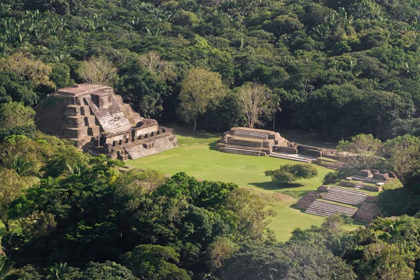 Altun Ha, ruinas maya —  Fotos de Stock