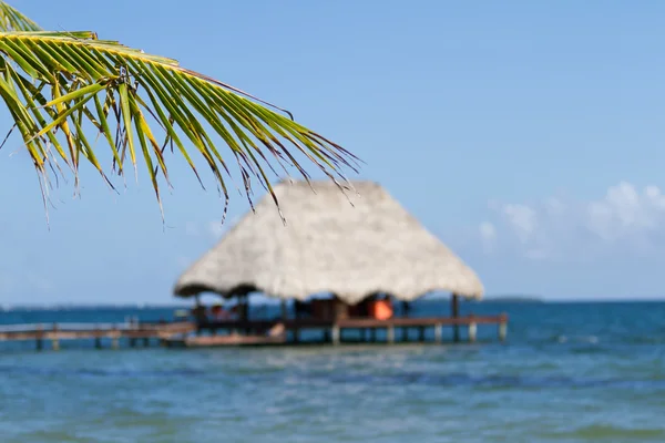 Belize, praia tropical — Fotografia de Stock