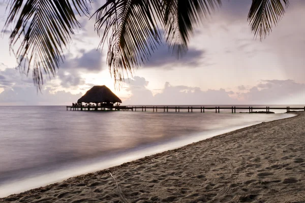 Praia tropical — Fotografia de Stock