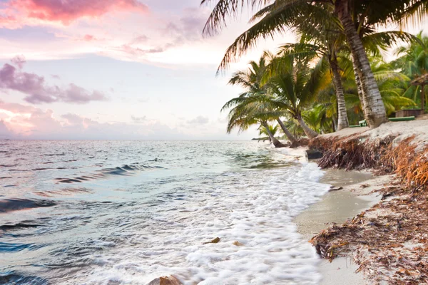 Playa tropical — Foto de Stock