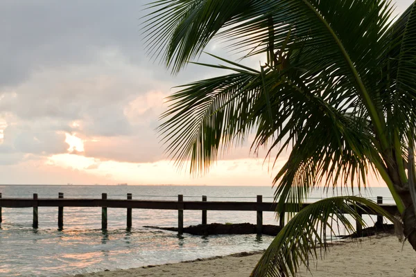 Tropisk strand — Stockfoto