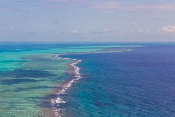 Barrière de corail dans les Caraïbes — Photo