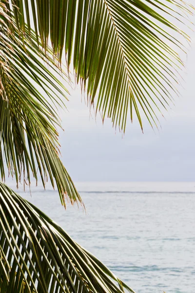 Scena della spiaggia — Foto Stock