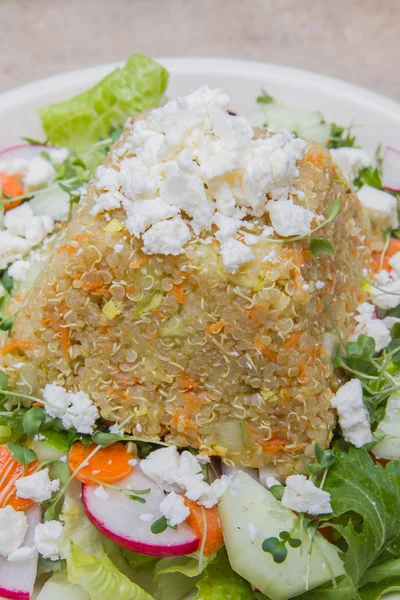 Quinoa salad — Stock Photo, Image