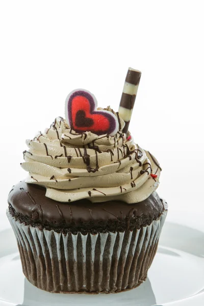 Chocolate cupcake — Stock Photo, Image