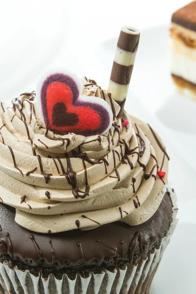 Chocolate cupcake — Stock Photo, Image