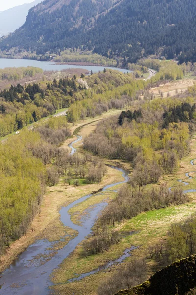 Columbia River Gorge — Stockfoto