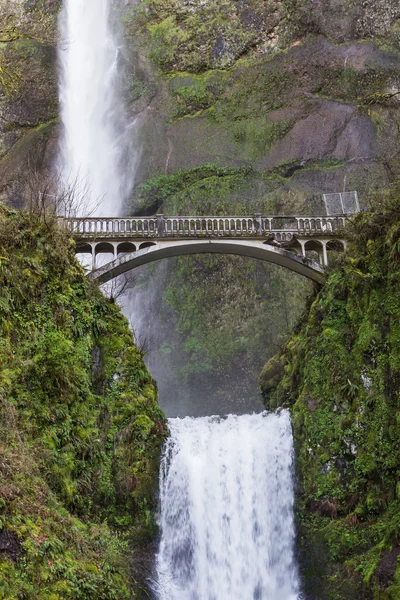 As Cataratas Multnomah, oregon — Fotografia de Stock