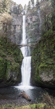 Multnomah Falls, Oregon clipart