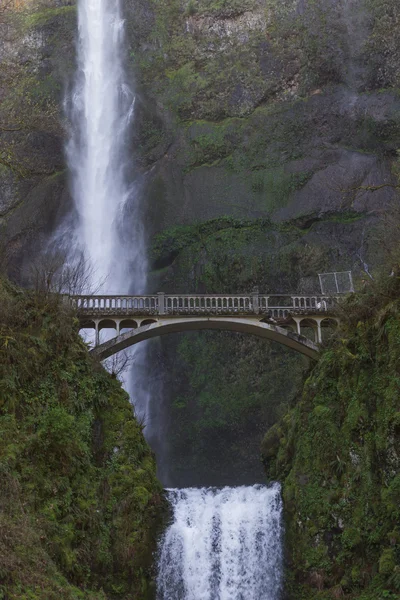 Multnomah Falls, Oregon — Stockfoto