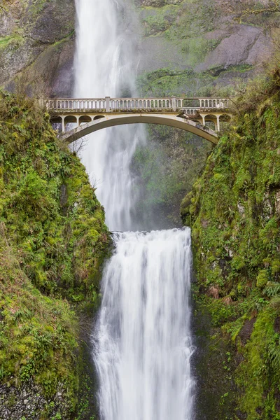 Multnomah Falls, Oregon — Stockfoto