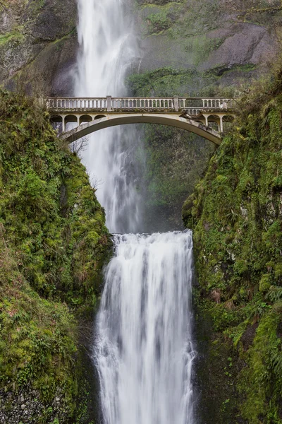 Multnomah Falls, Oregon — Stockfoto