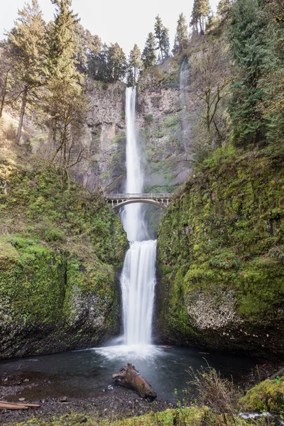 Multnomah Falls (Oregon) — Stockfoto