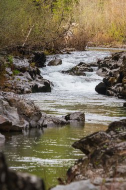 Oregon sakin creek