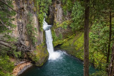 toketee falls Oregon clipart