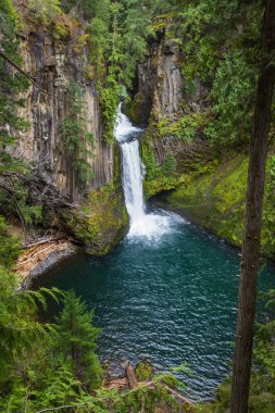 toketee falls Oregon clipart