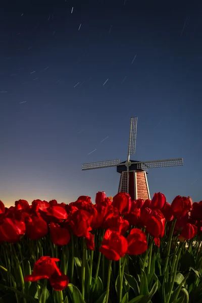 Molino de viento y tulipanes con el cielo nocturno — Foto de Stock