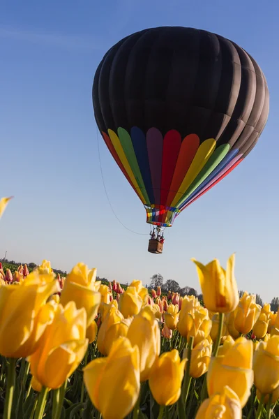 Paseo en globo aerostático sobre los tulipanes — Foto de Stock