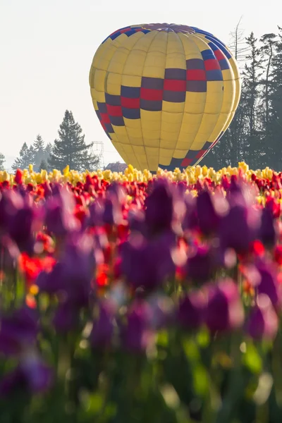 Hete lucht ballon rit over de tulpen — Stockfoto