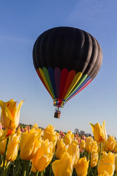 Heißluftballonfahrt über die Tulpen — Stockfoto