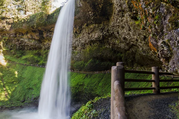 Silver lake faller — Stockfoto