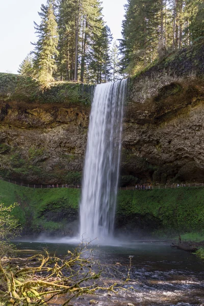 Cascate lago d'argento — Foto Stock