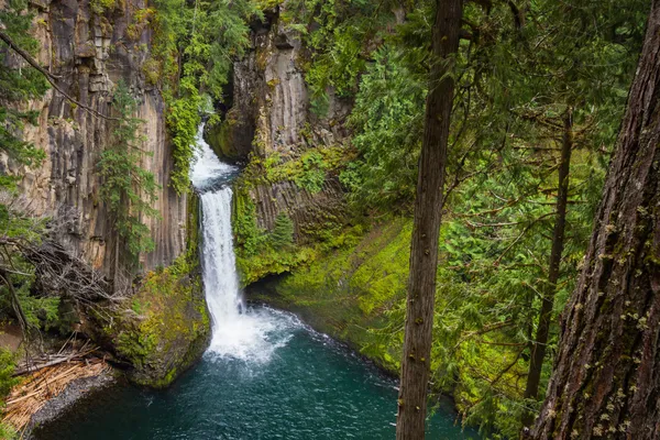 Oregon toketee düşer — Stok fotoğraf