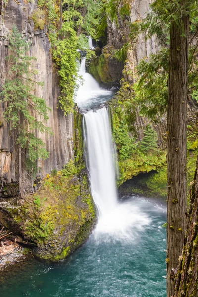 Toketee falls Oregon — Stock Photo, Image