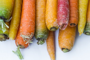 çiğ havuç yakın çekim