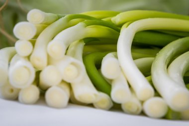 pırasa veya yeşil soğan