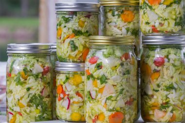 home made cultured or fermented vegetables  clipart