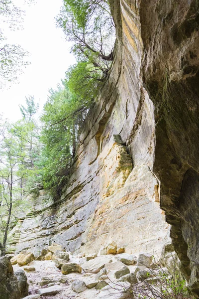 砂岩峭壁 — 图库照片