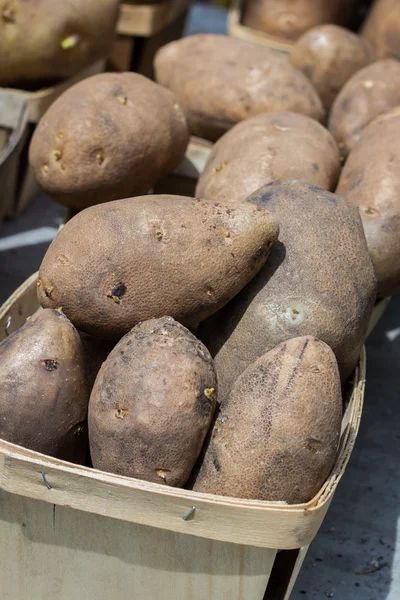 Boîte de pommes de terre — Photo