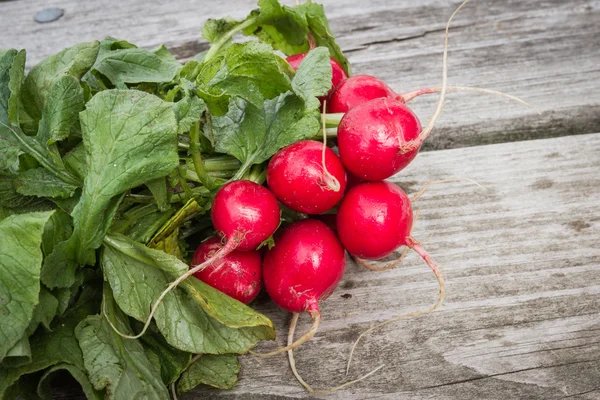 Fresh radishes — Stock Photo, Image