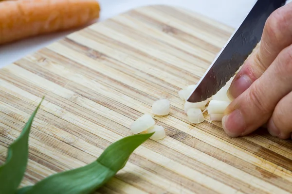 Leeks or green onions — Stock Photo, Image