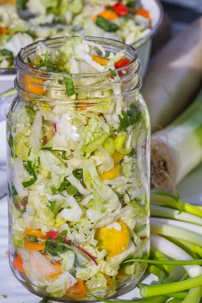 Ortaggi coltivati o fermentati fatti in casa — Foto Stock