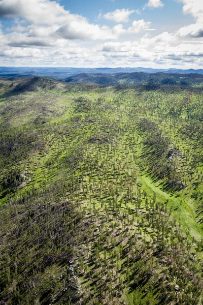 Aerial view of the black hills — Stock Photo, Image