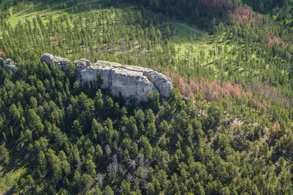 Aerial view of the black hills — Stock Photo, Image