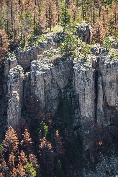 Letecký pohled na black hills — Stock fotografie