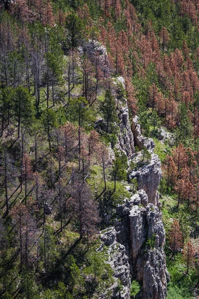 Vue aérienne des collines noires — Photo