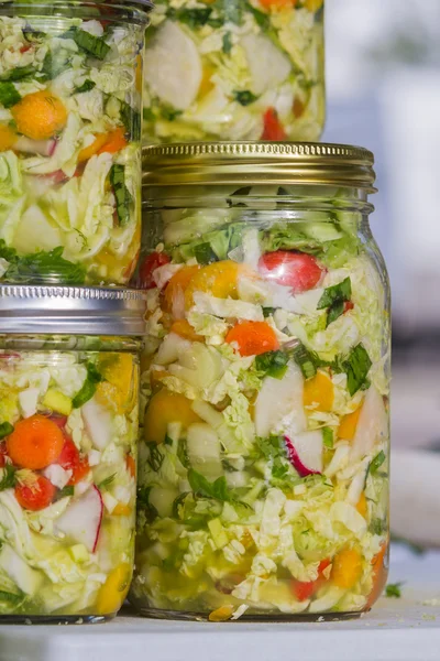 Ortaggi coltivati o fermentati fatti in casa — Foto Stock