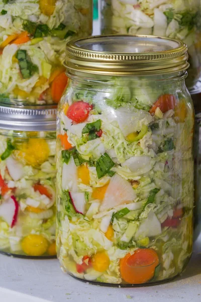 Légumes cultivés ou fermentés faits maison — Photo