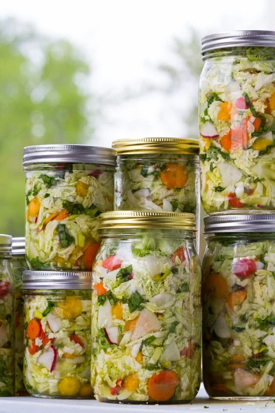 Home made cultured or fermented vegetables — Stock Photo, Image